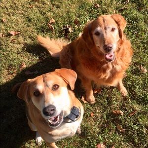 Meet your Posher, Autumn